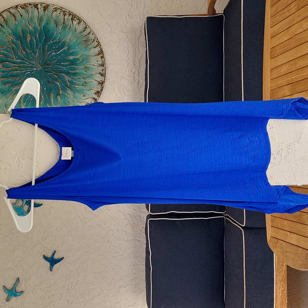 Cupio Asymmetrical Cobalt Blue Top